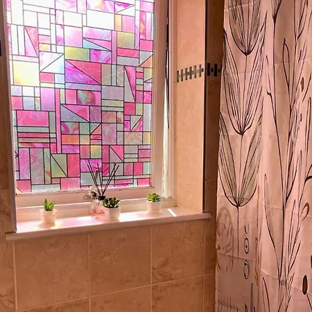 Urban Oasis Stylish Boho Flat In *